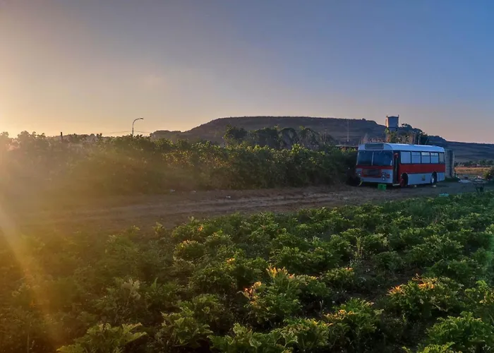 Gozo Bus Glamping